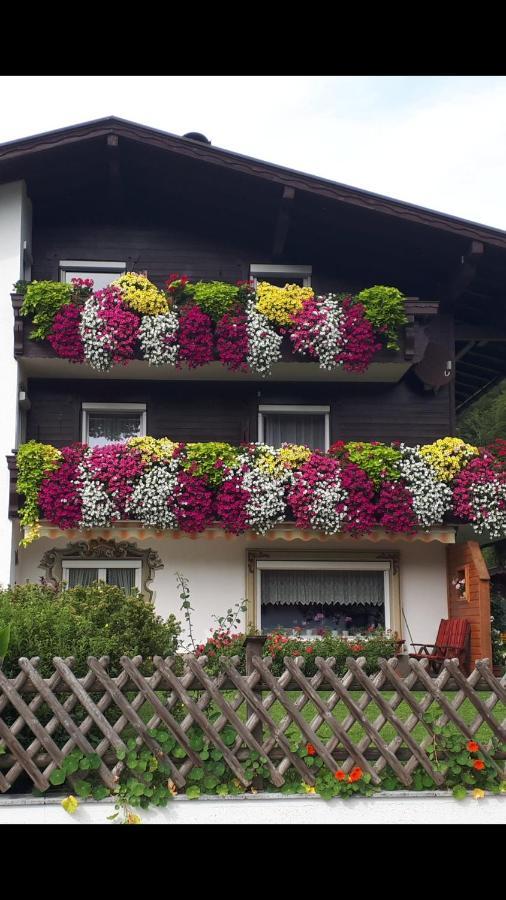 Haus Bergblick Lejlighed Walchsee Eksteriør billede